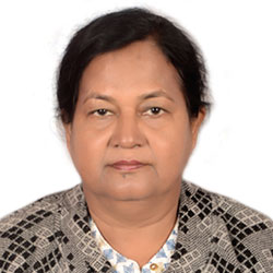 Krishna Pramanik